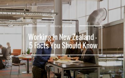 Working in New Zealand – 5 Facts You Should Know