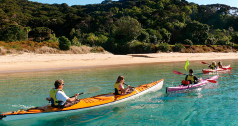 How New Zealanders embrace work-life balance - Working In New Zealand